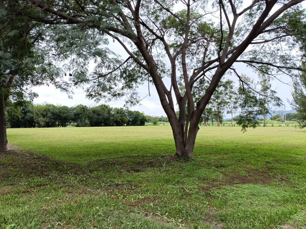 VENTA DE CASA EN BARRIO PRIVADO LOS OLMOS