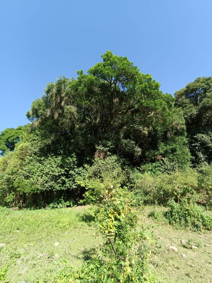 TERRENO EN VENTA 2.441m²