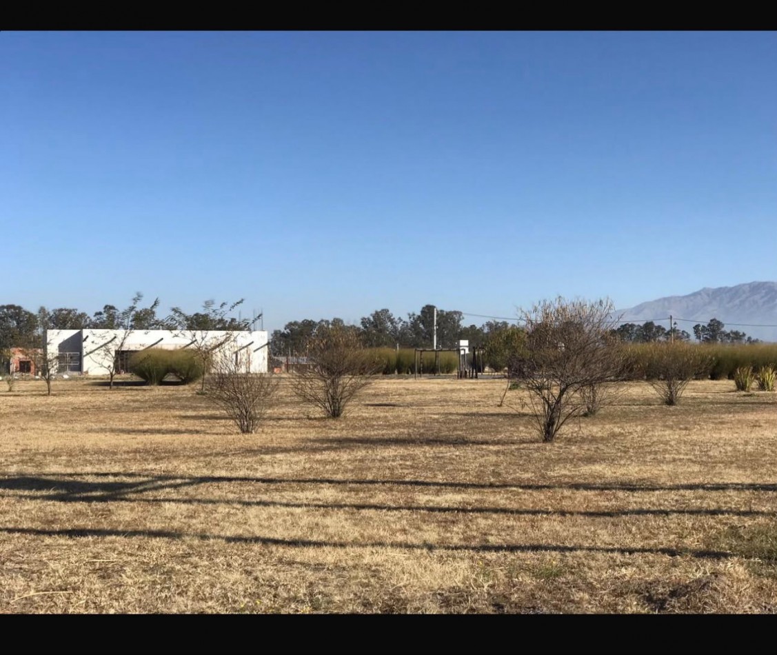 TERRENOS EN VENTA RETOÑOS DE COLON 
